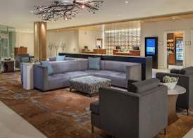 Sheraton Dallas Hotel by the Galleria 3