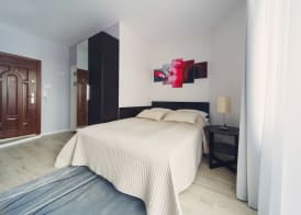 4Seasons Apartments Cracow 4