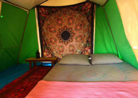 Cosmos Lounge 2