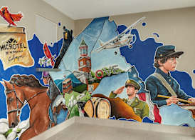 Microtel Inn & Suites by Wyndham Culpeper 3