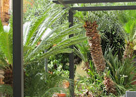 Glam Resort Villa Maria Luigia 5