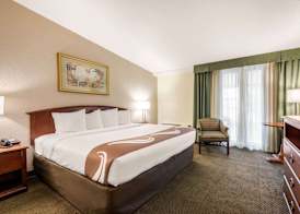 Quality Inn & Suites Tarpon Springs South 4