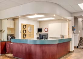 Comfort Inn 5