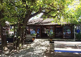 Oceans 5 Dive Resort 3
