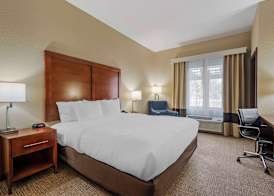 Comfort Inn & Suites 5