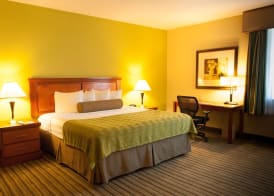 Best Western Plus Miami-Doral/Dolphin Mall 5