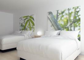 GreenPoint Hotel Kissimmee 5