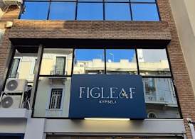 Figleaf Kypseli 2