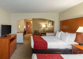 Comfort Suites North Dallas 5