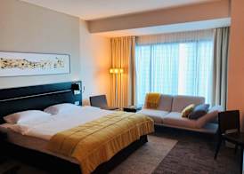 Andersia Hotel & Spa Poznan, a member of Radisson Individuals 3