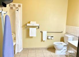 Holiday Inn Express & Suites ALICE by IHG 5