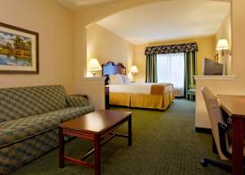 Holiday Inn Express & Suites SAN ANTONIO SOUTH by IHG 3