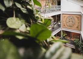 BLUME Baden Hotel & Restaurant 5