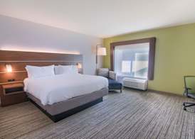 Holiday Inn Express & Suites MOBILE - UNIVERSITY AREA by IHG 3