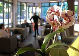 Hoteltow 2