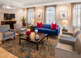 Best Western Tampa 3