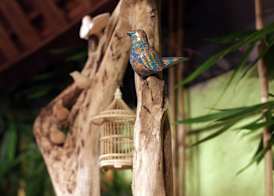 Green Bird Villa 2