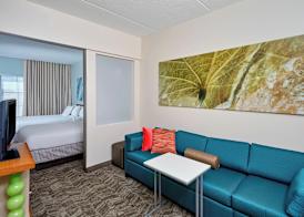 Springhill Suites by Marriott Chicago Schaumburg/Woodfield Mall 5