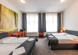 Hotel Zlatá Váha 5