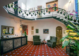 Orchid House Mexico City 5