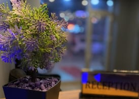 iNALENS AİRPORT KONAKLAMA 4