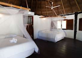 Blue Holbox 4