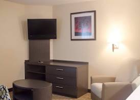 Candlewood Suites HOUSTON MEDICAL CENTER by IHG 4