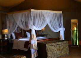 Serengeti Safari Lodge 3