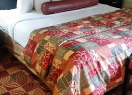 Best Western Canal Winchester Inn-Columbus South East 5