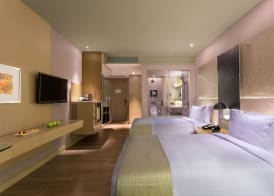 Holiday Inn NEW DELHI AEROCITY by IHG 4