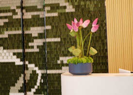 Hilton Garden Inn Shenzhen Airport 3