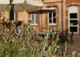 ibis Styles Toulouse Lavaur 5