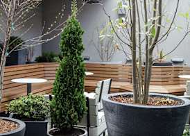 Freepoint Hotel Cambridge, Tapestry Collection by Hilton 4