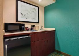 SpringHill Suites Mishawaka-University Area 4