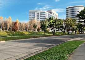 Hampton Inn San Francisco Airport 2