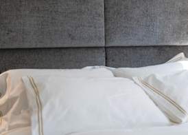 Downtown Brussels Splendor Suites 4