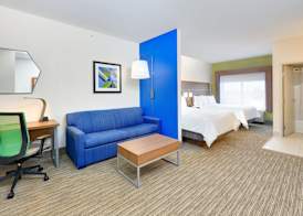 Holiday Inn Express & Suites AUSTIN - ROUND ROCK by IHG 3