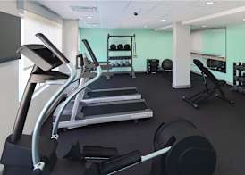 Tru By Hilton Distrito Palmerola 4