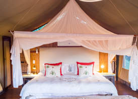 aha Thakadu River Camp 4