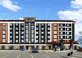 Bloom Mississauga, Tapestry Collection By Hilton 2