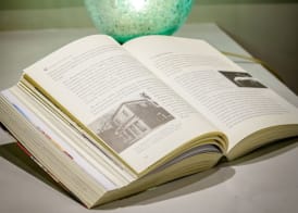 Urban Tales 5