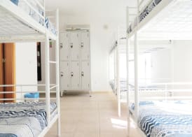 The 17 Party Hostel 3