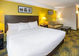 Comfort Hotel & Suites 5