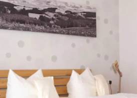 Hotel Restaurant Peterle 4