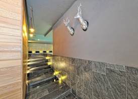 DV Chalet Boutique Hotel & Spa 5