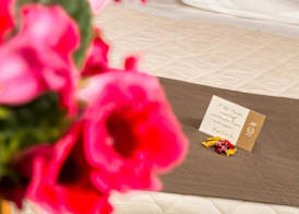 Hotel & Aparthotel Carinthia S 3
