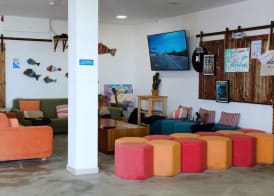 WOT Ericeira Surf Social 4
