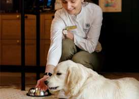Square Lodge Hotel Accor - La Roche-sur-Yon 4