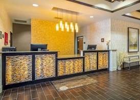 Comfort Inn & Suites Brighton Denver NE Medical Center 2