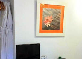 At Home in Malaga Stay & Solo Travellers 4